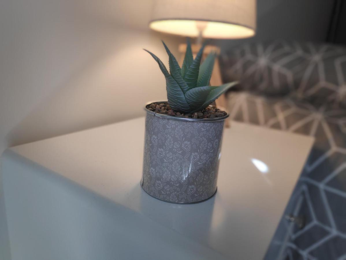Agreable T2 Neuf -Le Dome- Apartment Riom Bagian luar foto